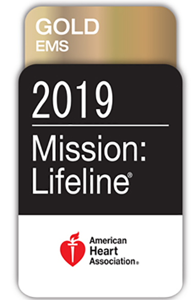 Missions Lifeline 2019 Logo